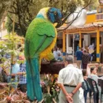 sabaneta informa animales