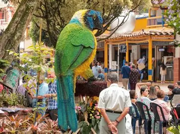 sabaneta informa animales